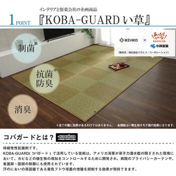 敷物 花ござ 国産 純国産 日本製 小林製薬 持続性抗菌剤 KOBA GUARD モダン 江戸間4.5畳 約261×261cm 送料無料-5