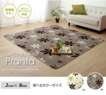 ラグ カーペット 3畳 洗える 抗菌 防臭 無地 WSプランタ 約200×250cm ホットカーペット対応 ブラウン グリーン 送料無料-1