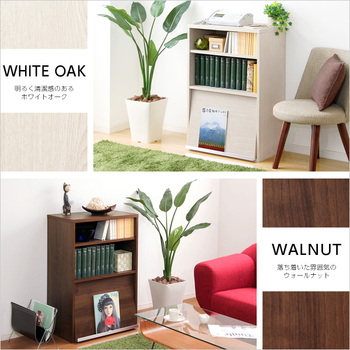 収納家具 DEALS-ディールズ-フラップ扉1枚タイプ 送料無料 即日発送-2