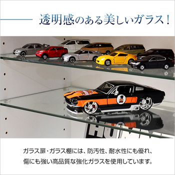 コレクションラック Luke ルーク 深型ハイタイプ 送料無料 即日発送-5