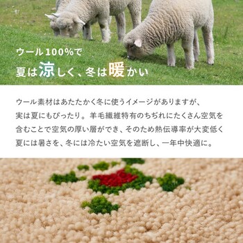 ギャッベ チェアパッド 羊毛 手織り ヌメロ 約40×40cm 送料無料-4