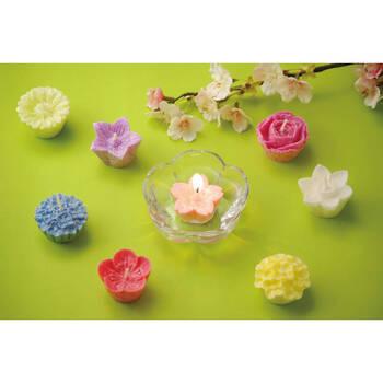 花づくし セット 植物性 T96200700 ギフト対応可 送料無料-1