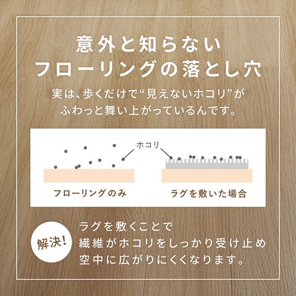 ラグ ダイニングラグ 約220×250cm 防ダニ 抗菌 はっ水 日本製 モニカ 2カラー 3サイズ 送料無料-1