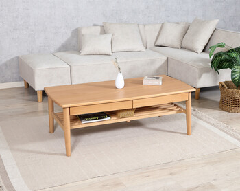 引出し棚付きセンターテーブル カミュ 送料無料-9