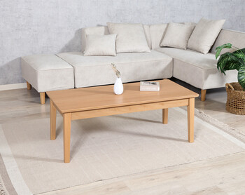 シンプルリビングテーブル シュラ 送料無料-9