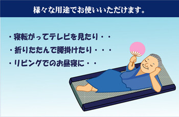 い草ごろ寝フリーマット おやじの場所 大和 ブルー 約70×150cm 送料無料-2