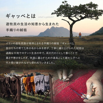 ギャッベ チェアパッド 座布団 マット 羊毛 手織り GABBEH TX 約40×40cm 2個セット 送料無料-1