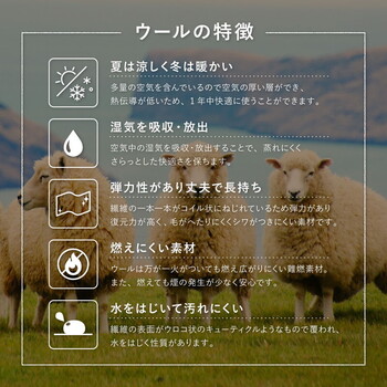 ギャッベ チェアパッド 座布団 マット 羊毛 手織り GABBEH TX 約40×40cm 2個セット 送料無料-4