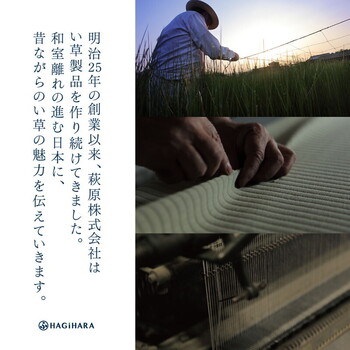 置き畳 フローリングに置く畳 縁なし 防音 DIY カット可 滑り止め 凛 りん　約W82×D82×H2.5cm　9枚組 送料無料-8