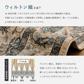 ラグ ウィルトン織ラグ 約200×250cm エジプト製 ABERDEEN ラグナ 送料無料-3