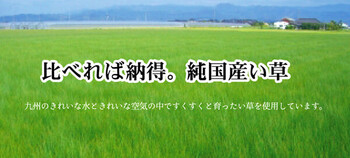 ラグ 日本製 191×191cm 純国産 防音 ボリューム い草ラグ STクレスタ 裏 ソフトテック15mm 送料無料-5