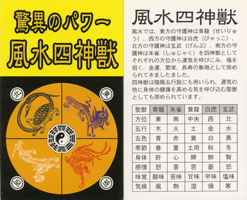 風水八卦ペンダント 金運のお守りカード付き 送料無料-3