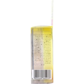 ケアナボーテ 毛穴落ち防止メイクキープパウダー SPF36 PA++ 1個入 送料無料-2