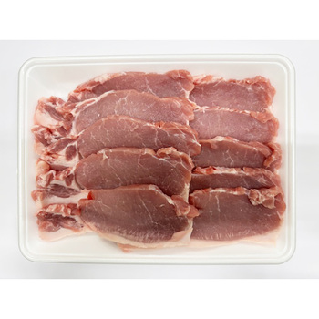 山形 天元豚 ロースとんかつ用10枚 計1000g 冷凍 豚肉 国産 送料無料-1