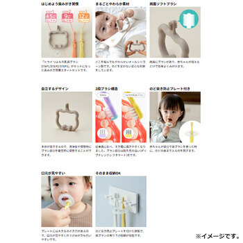 リッチェル トライ つよもち乳歯ブラシセット 3セット 送料無料-4