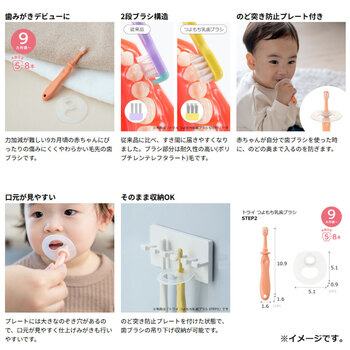 リッチェル トライ つよもち乳歯ブラシ STEP2 2本入 5セット 送料無料-3