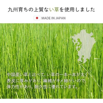 アンパンマン い草お昼寝マット アンパンマンといっしょ 約70×120cm 送料無料-1