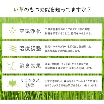 アンパンマン い草お昼寝マット アンパンマンといっしょ 約70×120cm 送料無料-2