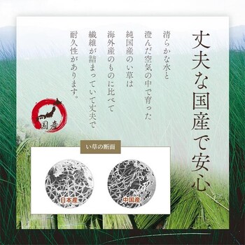 座布団 い草 約55×55cm2P 同色2枚組 日本製 抗菌防臭 湿度調整 蒸れにくい 涼しい モダン 大紬 千鳥座布団 送料無料-7