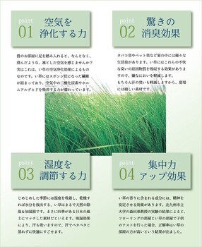 純国産 織込千鳥 い草座布団 約55×55cm×2P 同色2枚組 五風 送料無料-5
