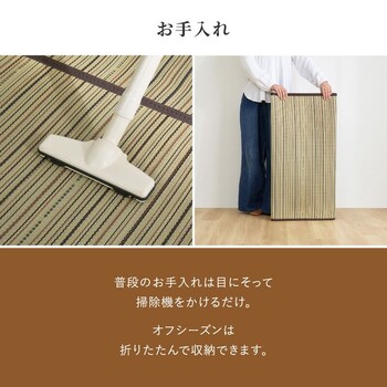 カーペット い草カーペット 江戸間6畳 柄上敷き 花ござ 裏貼り 涼み ブラウン 江戸間 送料無料-11