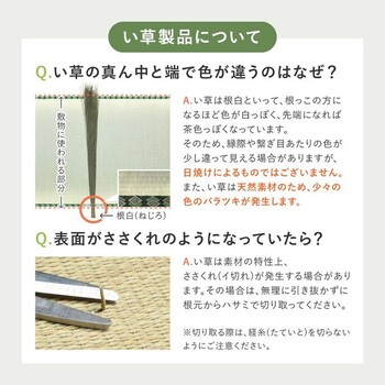 カーペット い草カーペット 江戸間6畳 柄上敷き 花ござ 裏貼り 涼み ブラウン 江戸間 送料無料-16