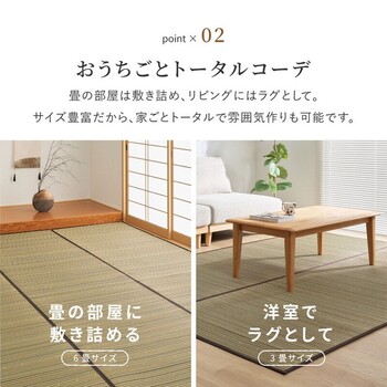 カーペット い草カーペット 江戸間6畳 柄上敷き 花ござ 裏貼り 涼み ブラウン 江戸間 送料無料-3
