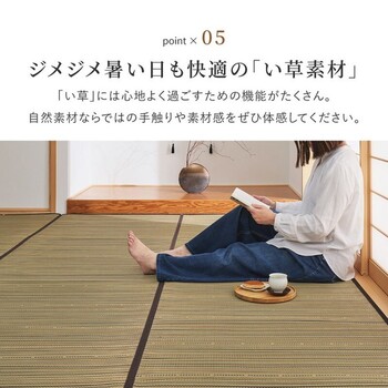 カーペット い草カーペット 江戸間6畳 柄上敷き 花ござ 裏貼り 涼み ブラウン 江戸間 送料無料-6
