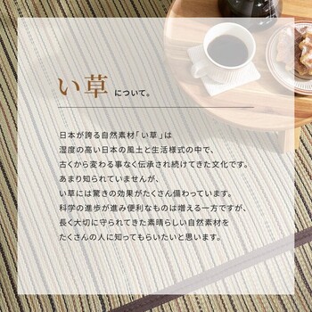 カーペット い草カーペット 江戸間6畳 柄上敷き 花ござ 裏貼り 涼み ブラウン 江戸間 送料無料-7