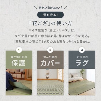 カーペット い草カーペット  江戸間2畳 柄上敷き 花ござ 市松柄風 清澄 せいちょう ブルー 江戸間 本間 送料無料-1