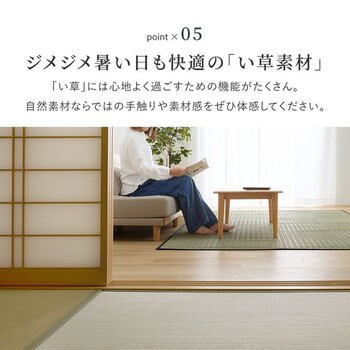 カーペット い草カーペット  江戸間2畳 柄上敷き 花ござ 市松柄風 清澄 せいちょう ブルー 江戸間 本間 送料無料-6
