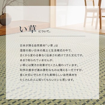 カーペット い草カーペット  江戸間2畳 柄上敷き 花ござ 市松柄風 清澄 せいちょう ブルー 江戸間 本間 送料無料-7