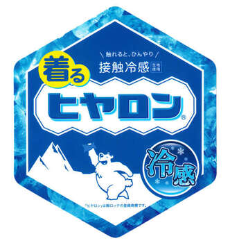 大きいサイズ ヒヤロン 接触冷感ポケット付半袖Tシャツ 3L 4L 5L 6L 7L 8L ホワイト MC865151-86105 ラッピング可 送料無料 即日発送-5