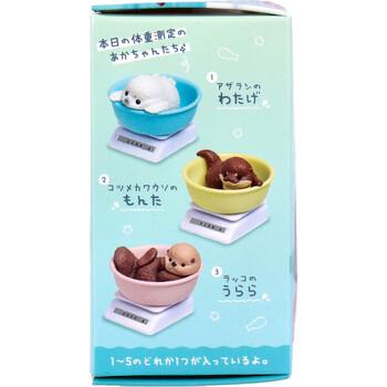 フィギュア 今日も すくすく成長中 水族館編 1個入 8セット 送料無料-2