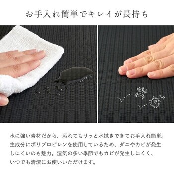 日本製 水拭きできるい草風座布団 炭入り 楽座 らくざ ブラック 約39×39cm 送料無料-14