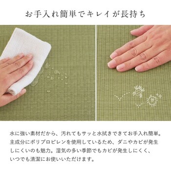 日本製 水拭きできるい草風座布団 日本製 楽座 らくざ 4色 約39×39cm 送料無料-11