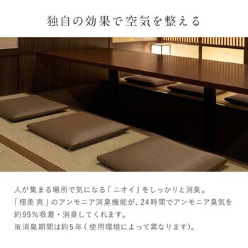日本製 水拭きできるい草風座布団 日本製 楽座 らくざ 4色 約39×39cm 送料無料-4