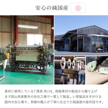 日本製 水拭きできるい草風座布団 日本製 楽座 らくざ 4色 約39×39cm 送料無料-6