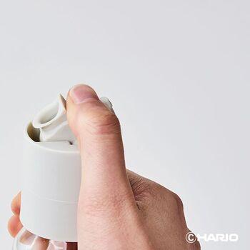 ワンタッチドレッシングボトル 250 ペールグレー 2個セット 送料無料 即日発送-1