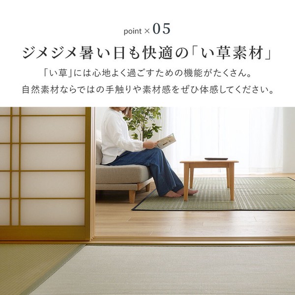 カーペット い草カーペット  本間6畳 柄上敷き 花ござ 市松柄風 清澄 せいちょう ブルー 江戸間 本間 送料無料-6