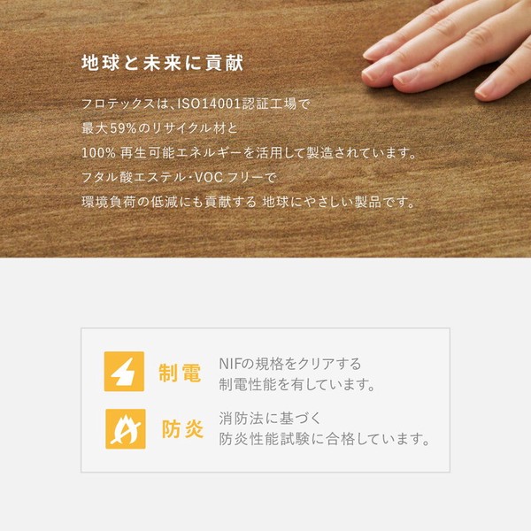 ラグ 約200×200cm 超高密度パイルのフローリング調ラグ フロテックス 送料無料-17