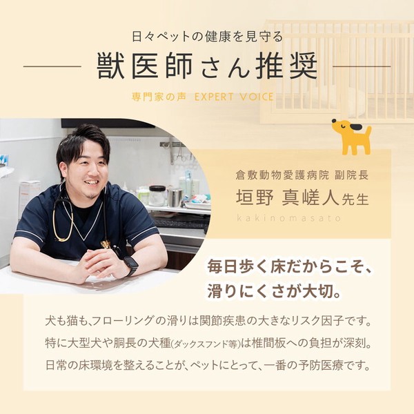 ラグ 約200×200cm 超高密度パイルのフローリング調ラグ フロテックス 送料無料-3