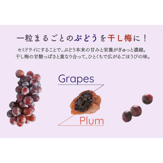 芳醇ぶどうの梅包み 12袋入 常温 干し梅 おやつ 送料無料-6