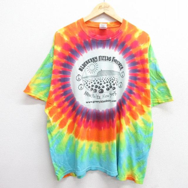 古着 半袖 ビンテージ Tシャツ メンズ 00年代 00s ブルーベリー 大きい